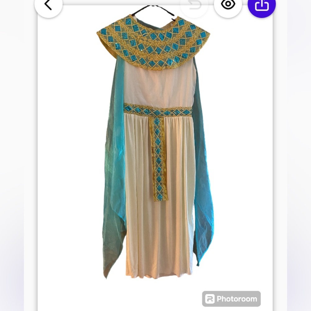 Cleopatra costume. Adult size large
